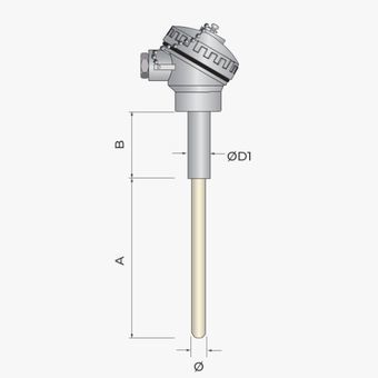 Sonda de temperatura RTD