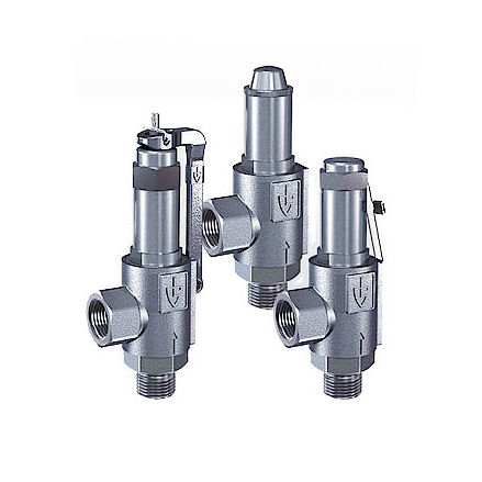 Válvula de segurança para vapor - 461 series - Goetze KG - para gás / para ar comprimido / com rosca