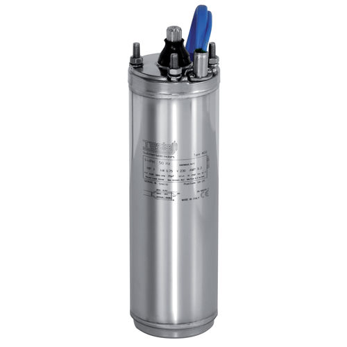 Motor assíncrono - 4 GG/6GF-6GX/TR8/TR10/TR12 - DAB - bifásico / 220 V / em ferro fundido