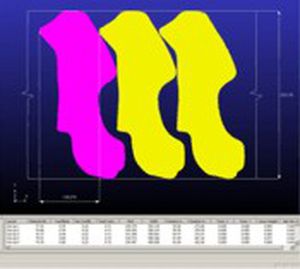 Software de aproveitamento - BLANKNEST - FTI Forming Technologies Incorporated - de processo
