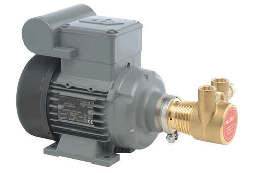 Motor CA - Nuert - 48 V / para bomba