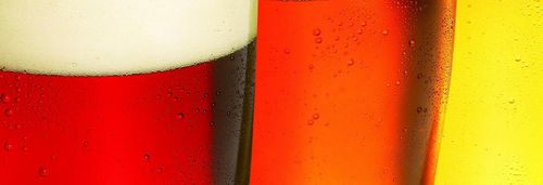 Aditivo para a indústria alimentícia - Fibra-Cel® - Imerys Ceramics  - para a indústria das bebidas / em fibra de celulose