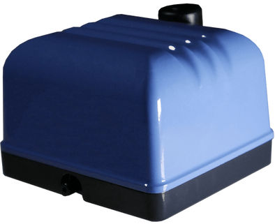 Bomba de diafragma - V series - CHARLES AUSTEN PUMPS LTD / BLUEDIAMOND PUMPS INC - com filtro / de água / de ar