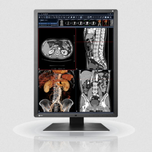 Monitor LCD - RX250 series - EIZO NANAO - com retroiluminação LED / para uso médico / de precisão