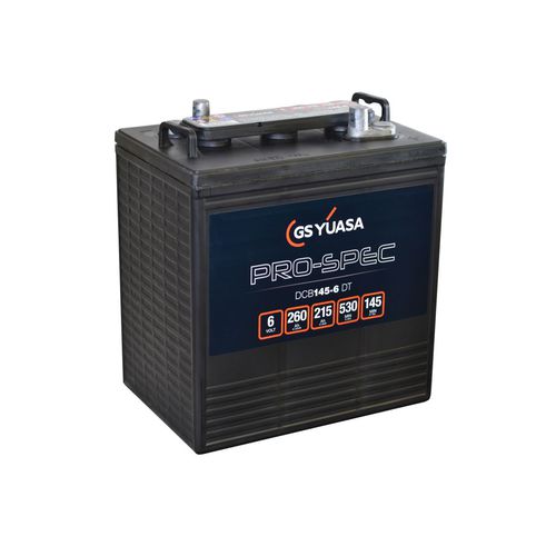 Bateria AGM - DCB145-6(DT) - GS Yuasa - monobloco / 6 V / para veículo elétrico