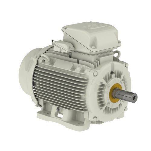 Motor trifásico - W22  - WEG Gear Systems GmbH - em aço inoxidável / de alumínio