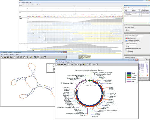 Software de visualização - Bioinformatics Toolbox™ - The MathWorks - de análise / para espectrometria de massa