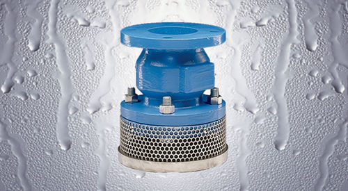 Válvula de retenção de disco - 302BT - Flomatic - flangeada / em ferro fundido / com filtro de tela