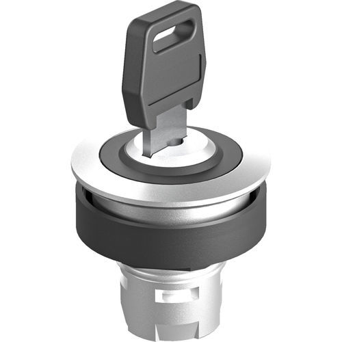 Interruptor de chave - RONTRON-R-JUWEL RRJSSA12 - Georg Schlegel GmbH & Co. KG - IP65 / não luminoso / de controle
