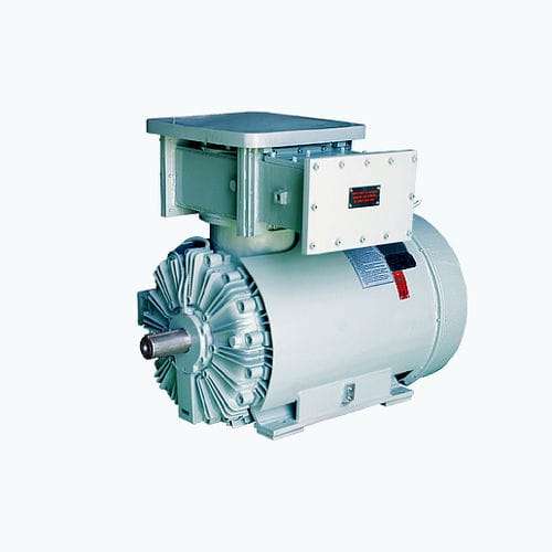 Motor assíncrono - CG Power Systems - CA / bifásico / 6000 V