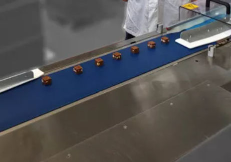 Correia plana - Dectyl - AMMERAAL BELTECH - em poliuretano / em termoplástico / para produtos alimentares