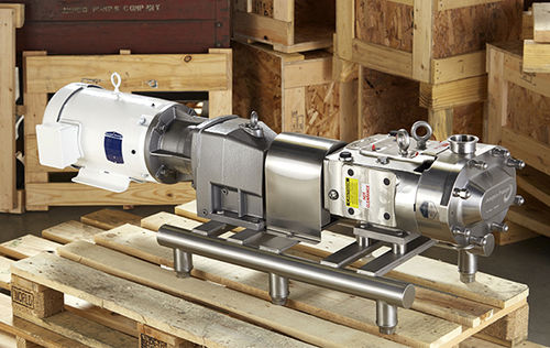 Bomba de lóbulos - ZP3  - Ampco Pumps - para bebidas / de óleo / elétrica