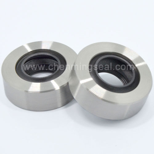 Vedação com lábio - CTL series - Ningbo Chenming Seals Manufacturing Co., Ltd. - em aço inoxidável / em PTFE / circular