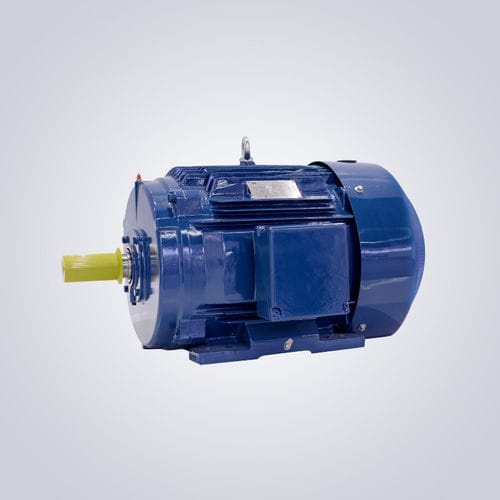 Motor NEMA - NEPM-Series 143T~449T (TC, TS) - Jiangsu Dazhong Electric Motor CO., Ltd - assíncrono / trifásico / 380 V