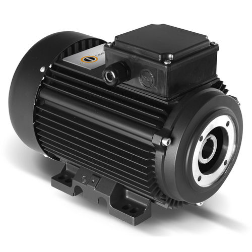 Motor assíncrono - HYDRO Series - ORANGE 1 ELECTRIC MOTORS SPA - monofásico / trifásico / 400 V