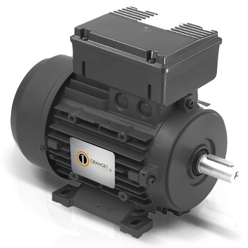 Motor assíncrono - ORANGE 1 ELECTRIC MOTORS SPA - monofásico / 220 V / com capacitores