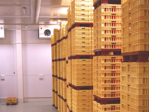 Câmara de maturação para queijo - FIBOSA - seca / para a indústria alimentícia