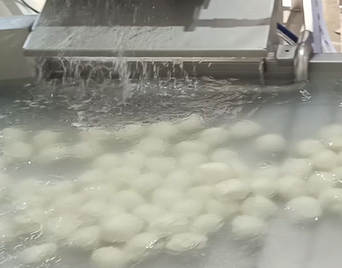 Resfriador de água - FIBOSA - para a indústria alimentícia / em inox / de condensação por água