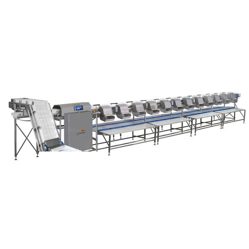 Classificadora para pescado - MC - MARELEC Food Technologies BVBA - para carne / de esteira