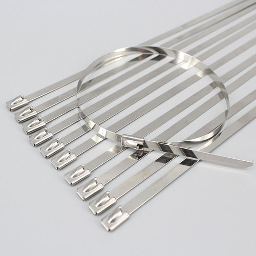 Abraçadeira de cabos em aço inoxidável - DM-SS series - DEMOELE / Wenzhou Duanmeng Electric Co.,Ltd - em material plástico / para condições extremas / resistente à corrosão