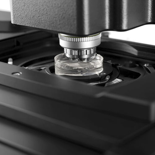 Microscópio de laboratório - TCS SP8 DLS - Leica Microsystems GmbH - 3D / confocal / de alta definição