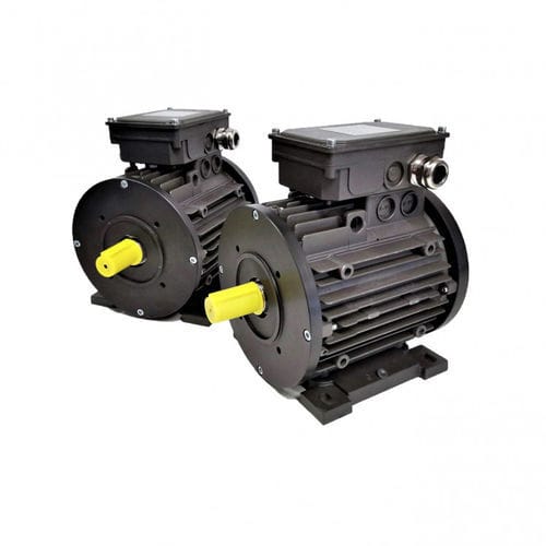 Motor de ímãs permanentes - Metalrota srl - síncrono / CA / de alumínio