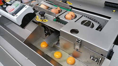 Máquina de quebrar ovos - RZ series - Dion Engineering