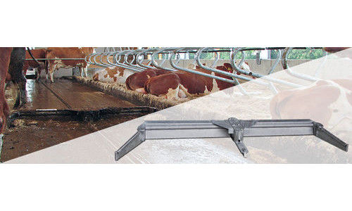 Raspador de limpeza - FBS - Peter Prinzing GmbH - para piso