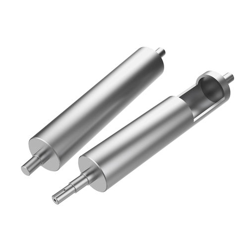 Rolo de transportador em aço inoxidável - BP-D Series - DAMON Industrial Europe Srl - para cargas pesadas
