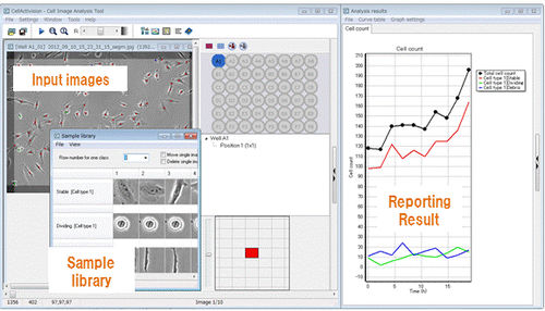 Software de análise - CellActivision - YOKOGAWA Europe - de análise de fase / de desenvolvimento / de imagem