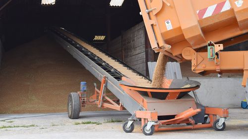 Transportador para produtos a granel - SAUTEC - de esteira / de movimentação / de carregamento