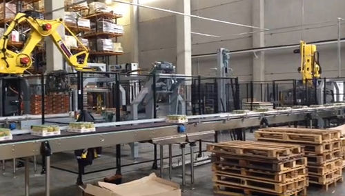 Paletizador e despaletizador robótico - FL-PAL_DEPAL - F.B.L. Food Machinery S.r.l. - de pacotes / para a indústria alimentícia