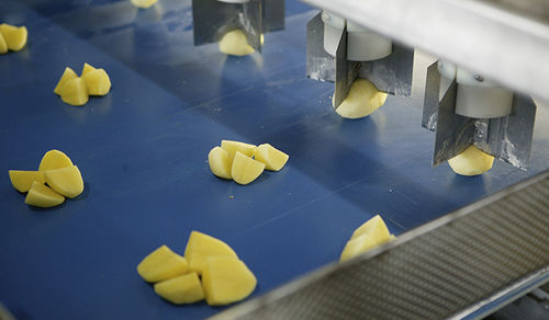 Cortadora de batatas - Eagles eye - Finis Foodprocessing Equipment B.V.