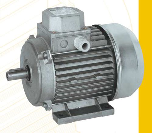Motor assíncrono - AL series - ISGEV - CA / trifásico / 60 V