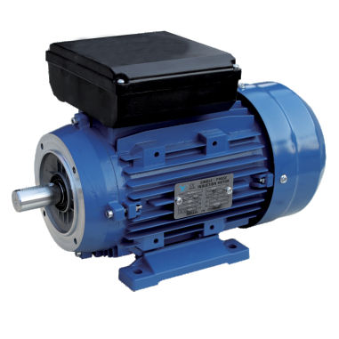 Motor de indução - ML series - FUJIAN YONGDASHENG ELECTRICAL MACHINERY CO., LTD - monofásico / 220 V / com capacitores