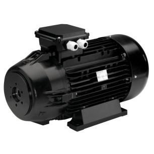 Motor com flange dupla - iec 180 - Nicolini Motori - assíncrono / CA / compacto