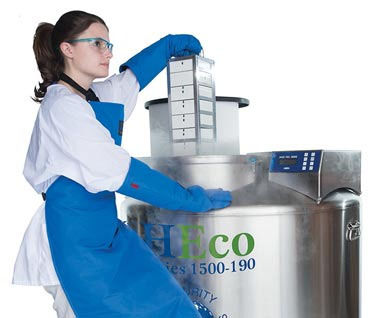 Congelador de laboratório - MVE HEco™ series - CHARTINDUSTRIES - em aço inoxidável / criogênico / de armazenamento