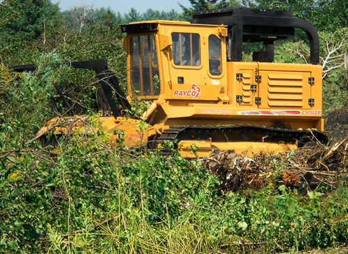 Roçadeira florestal - 185 - 260 hp (138 - 194 kW) | C185, C260 - RAYCO