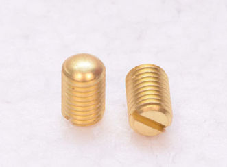 Parafuso sem cabeça em aço inoxidável - Paani Precision Products LLP - em alumínio / em latão / em bronze