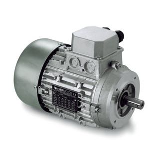 Motor de duas velocidades - DP series - Neri Motori - de indução / trifásico / 400 V