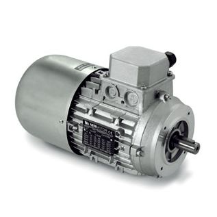 Motor de indução - AT series - Neri Motori - trifásico / 400 V / 380 V