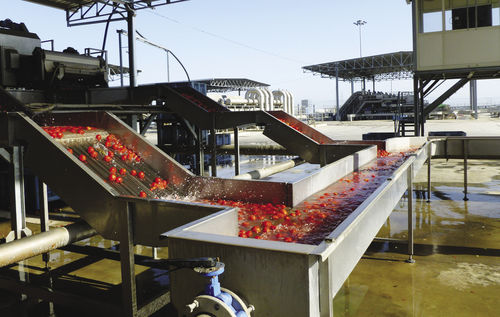 Transportador hidráulico - Agromeccanica srl - para tomates / para a indústria alimentícia / em aço inoxidável
