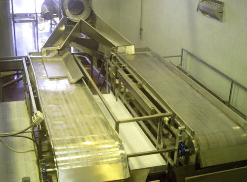Esteira classificadora - Agromeccanica srl