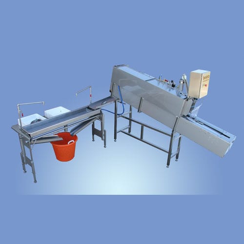 Pia para controle de pescado - Boleto - para a indústria alimentícia / em aço inoxidável