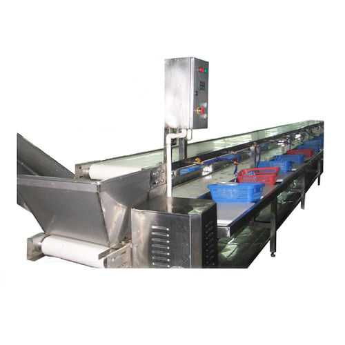 Descascadora de camarão - ZD-XL 10000 - Shrimp Machine