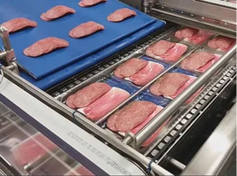 Embaladora de bandejas horizontal - ELCAT FOOD TECHNOLOGY - automática / para queijo / de carne