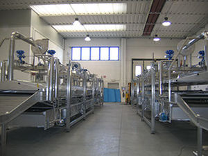 Cozedor industrial contínuo - Food Tech S.r.l. - de massas / com linha de resfriamento / de imersão