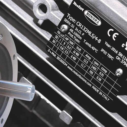 Motor de indução - MOTORI BONORA SPA - CA / 400 V / 4/8 polos