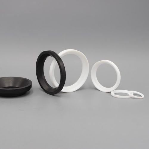 Vedação para válvula de macho esférico - Dytron Advanced Materials Co., ltd - em PTFE / para bomba / para aplicações químicas