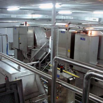 Linha de produção de queijo de massa crua - Sordi SRL - automática